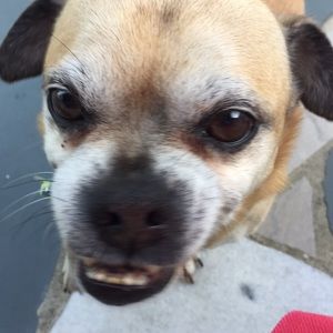 Meet your Posher, Robyn